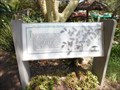 Image for Acacia Thorns  -  Escondido, CA