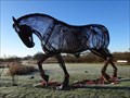 Image for War Horse - Featherstone, UK