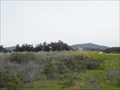 Image for Bluffs Open Space and Seal Sanctuary - Carpinteria, California 