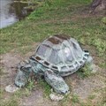 Image for Turtle - Temple, TX