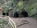 Image for Cuevas de Toledo - Agua García,Tenerife, España