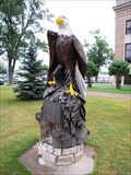 Image for Eagle - Aitkin, Minnesota