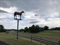 Image for Horse on a Pole - Madison, Virginia