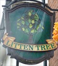 Image for Litten Tree - Lake Street, Leighton Buzzard, Bedfordshire, UK.