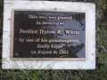 Image for Justice Byron R. White - Denver CO