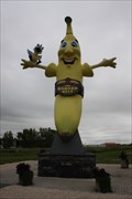 Image for LARGEST -- Freestanding banana statue in the World - Melita MB