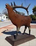 Image for Elk - Bastrop, TX