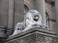 Image for 4 large lions guarding the town hall – Leeds, UK