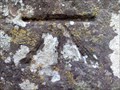 Image for Cut Bench Mark on Penhurst Parish Church, Sussex