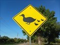 Image for Duck Crossing - Highland Village, TX