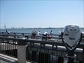 Image for Waterfront Park Pier Binocs - Charleston, SC