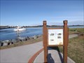 Image for Tuncurry-Forster Ferry Crossing - Tuncurry, NSW