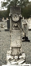 Image for Cole Scho Mathews - Mt. Carmel Cemetery - Mount Carmel, AL