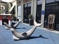 Image for Dolphins - Huntington Beach, CA
