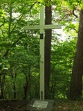 Image for Cross in the wood - Mörsdorf - RLP / Germany