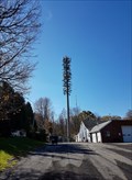 Image for The Funny Pine Cell Tower