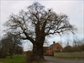 Image for The Baginton Oak - Baginton, Coventry, Warwickshire, UK