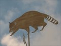 Image for Racoon Weathervane,  Hwy 192 West, Kissimmee, Florida.