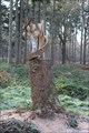 Image for Forest Art - Le Bois des Cahières - Crécy - Somme, France