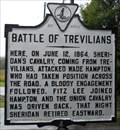 Image for Battle of Trevilians