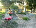 Image for Longoria Cemetery, Santa Maria, Texas, USA