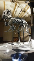 Image for T. Rex im Museum für Naturkunde - Berlin, Deutschland