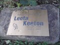 Image for Leota Keeton Memorial Rose Bush - West Fork AR