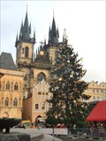 Image for Christmas Tree, Prague, Czech Republic