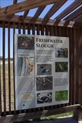 Image for Freshwater Slough -- Aransas National Wildlife Refuge, Austwell TX USA