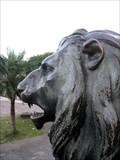 Image for Sabana Norte Park lion, San Jose, Costa Rica