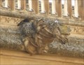 Image for Monasterio de San Juan de los Reyes Gargoyles - Toledo, Spain