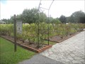 Image for Dothan Area Botanical Gardens Rose Garden - Kinsey, AL