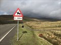 Image for Watch Out For Horseback Riders - Thorshavn, Faroe Islands