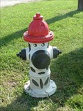 Image for Auburn's Dalmatian Hydrant