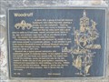 Image for Woodruff - 456