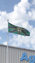 Image for Flag of Abbotsford, B.C.
