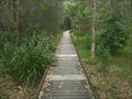 Image for Karuah Wetlands Boardwalk, NSW, Australia