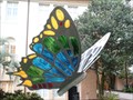 Image for Genus Kaleidoscopus - Butterfly - City Hall, Lakeland, Florida. USA.
