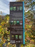 Image for The Woonasquatucket River Greenway - Native Versus Invasive Plants - Providence, Rhode Island