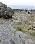Image for Tourism Attractions - The Giant's Causeway - Bushmills, Northern Ireland.