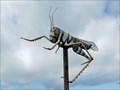 Image for Grasshopper - Houston, TX