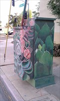 Image for Cacti Plants - Indio, CA