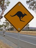 Image for Kangaroo Crossing - Alice Springs, Australia