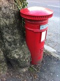 Image for Tree eating Post Box - Ninian Road, Cardiff, Wales, UK