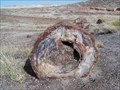 Image for Petrified National Park - Crystal Forest