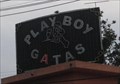 Image for Playboy Gatas - Embu, Brazil