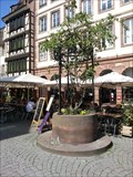 Image for Old Draw Well - Place du Marché aux Cochons de Lait - Strasbourg, France, Alsace