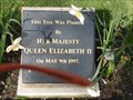 Image for Tree Planted by the Queen - Aberfan - Wales.