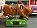 Image for T-Bone the Rodeo Bull