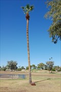 Image for POW Freedom Tree - El Centro, CA